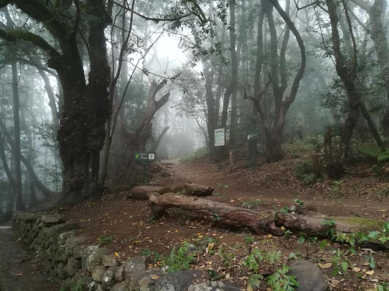 Casa Rural Finca La Maleza Agulo Eksteriør billede