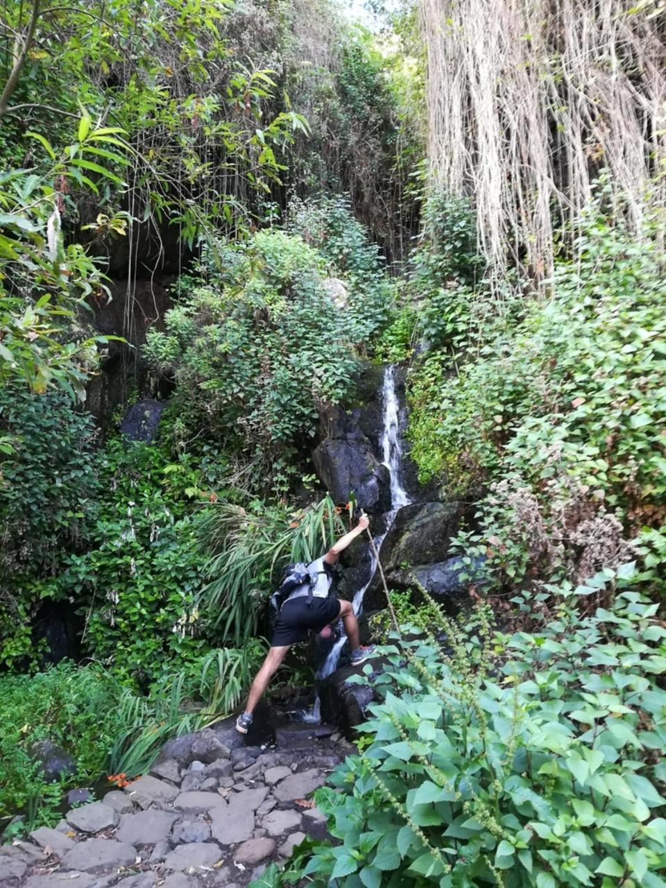 Casa Rural Finca La Maleza Agulo Eksteriør billede