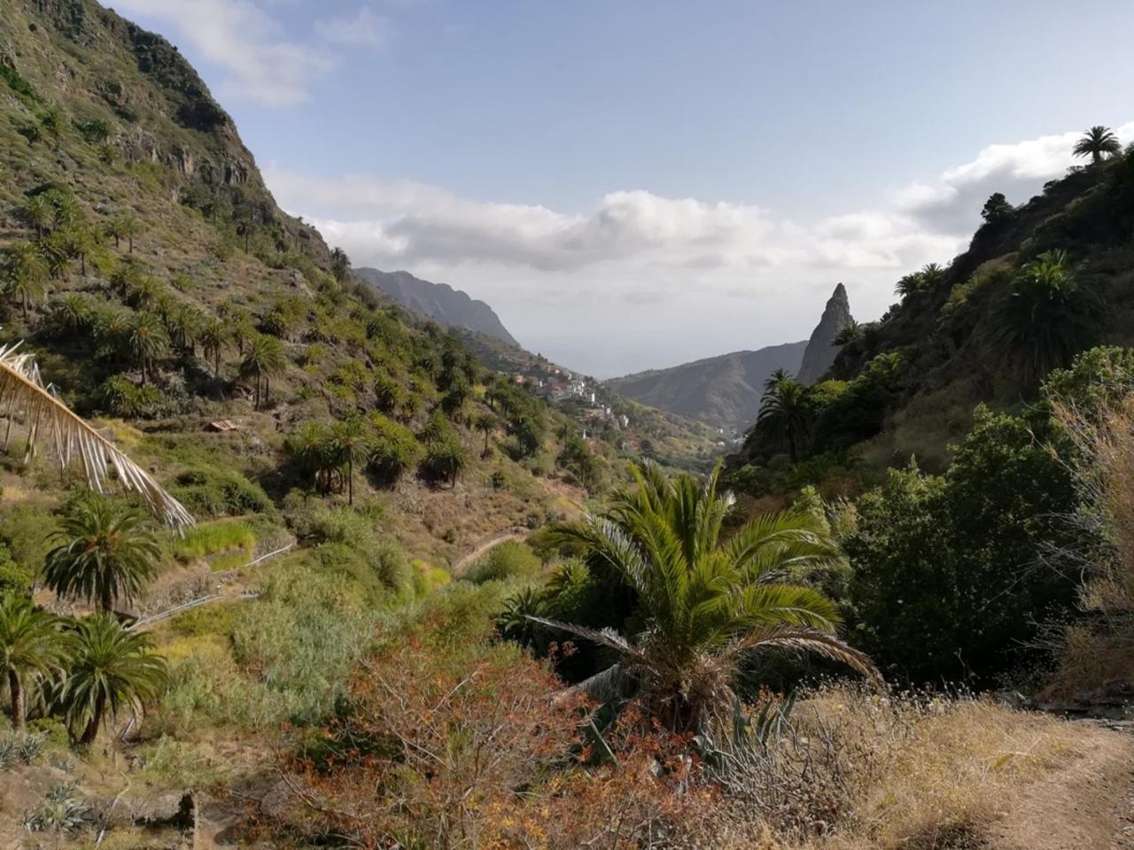 Casa Rural Finca La Maleza Agulo Eksteriør billede