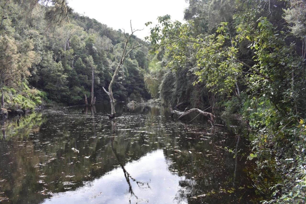 Casa Rural Finca La Maleza Agulo Eksteriør billede