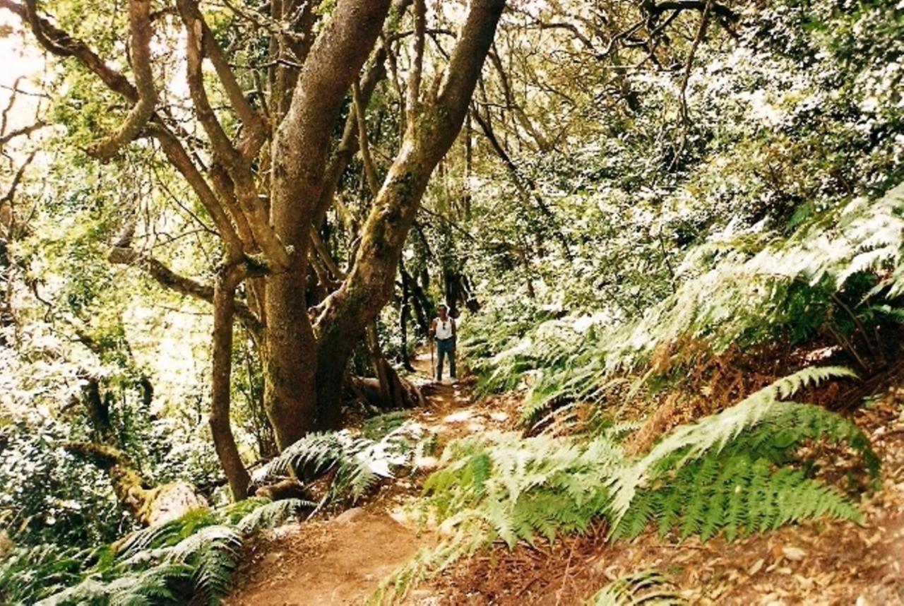 Casa Rural Finca La Maleza Agulo Eksteriør billede