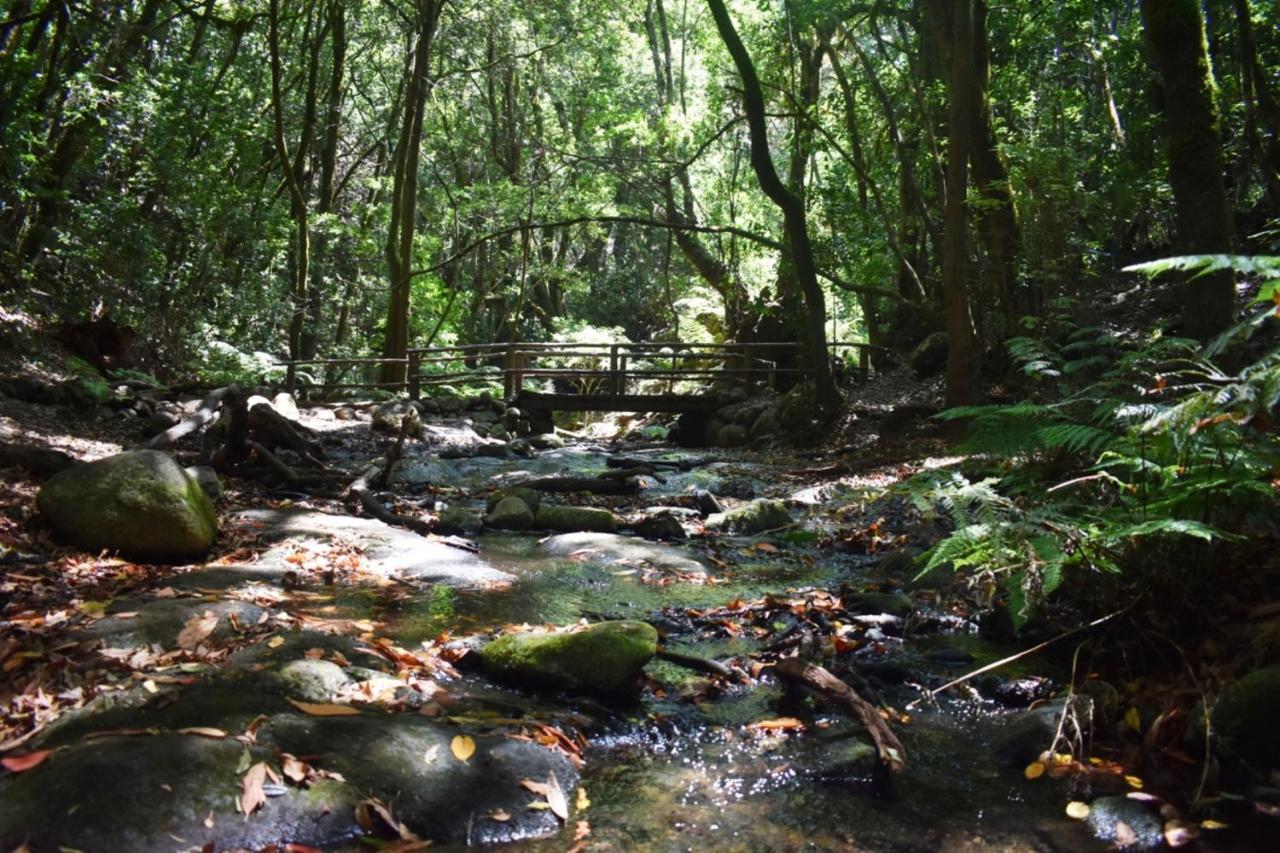 Casa Rural Finca La Maleza Agulo Eksteriør billede